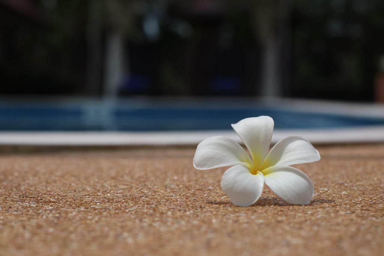 The Hillside Pranburi Resort Extérieur photo